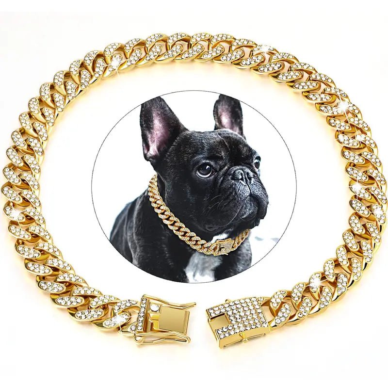 Gold Dog Collar Walking Chain With Secure Buckle - Best Buddy Store