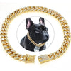 Gold Dog Collar Walking Chain With Secure Buckle - Best Buddy Store