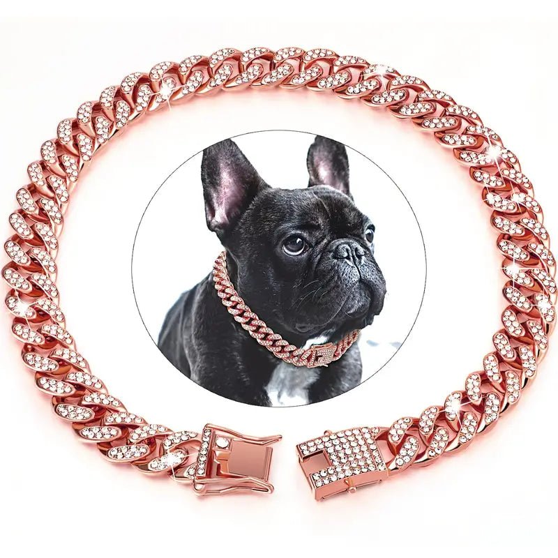 Gold Dog Collar Walking Chain With Secure Buckle - Best Buddy Store