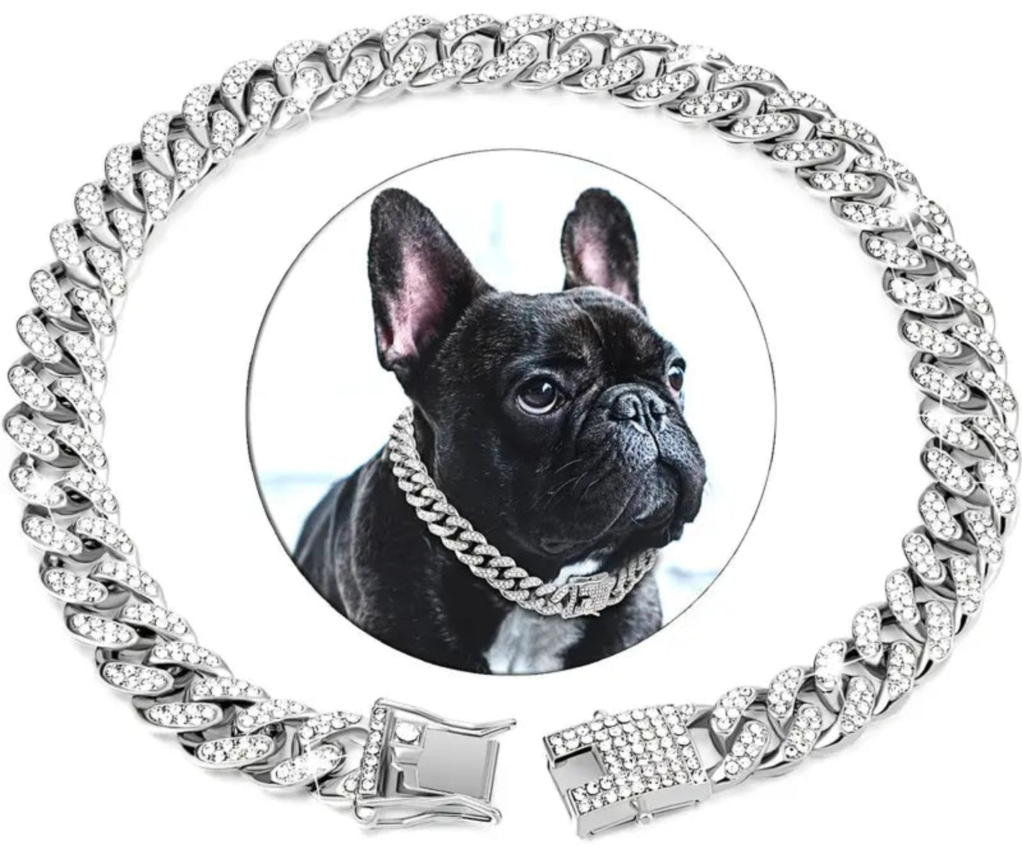 Gold Dog Collar Walking Chain With Secure Buckle - Best Buddy Store