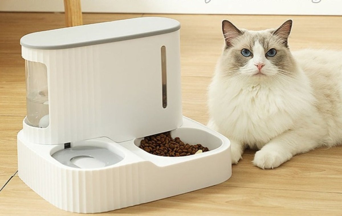 High Quality Pet Automatic Feeder Food Bowl - Best Buddy Store