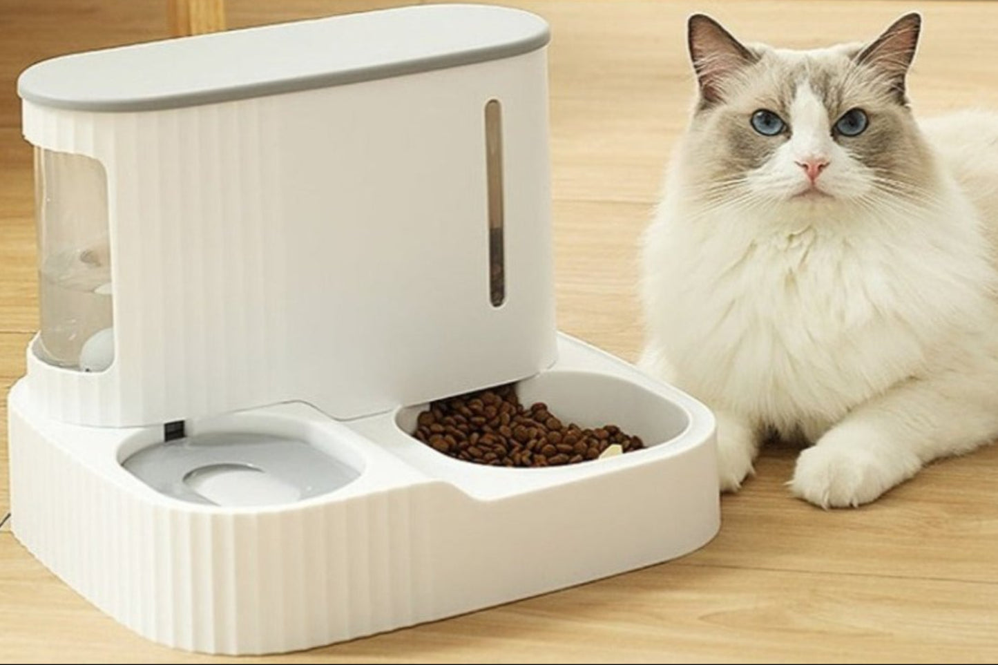 High Quality Pet Automatic Feeder Food Bowl - Best Buddy Store