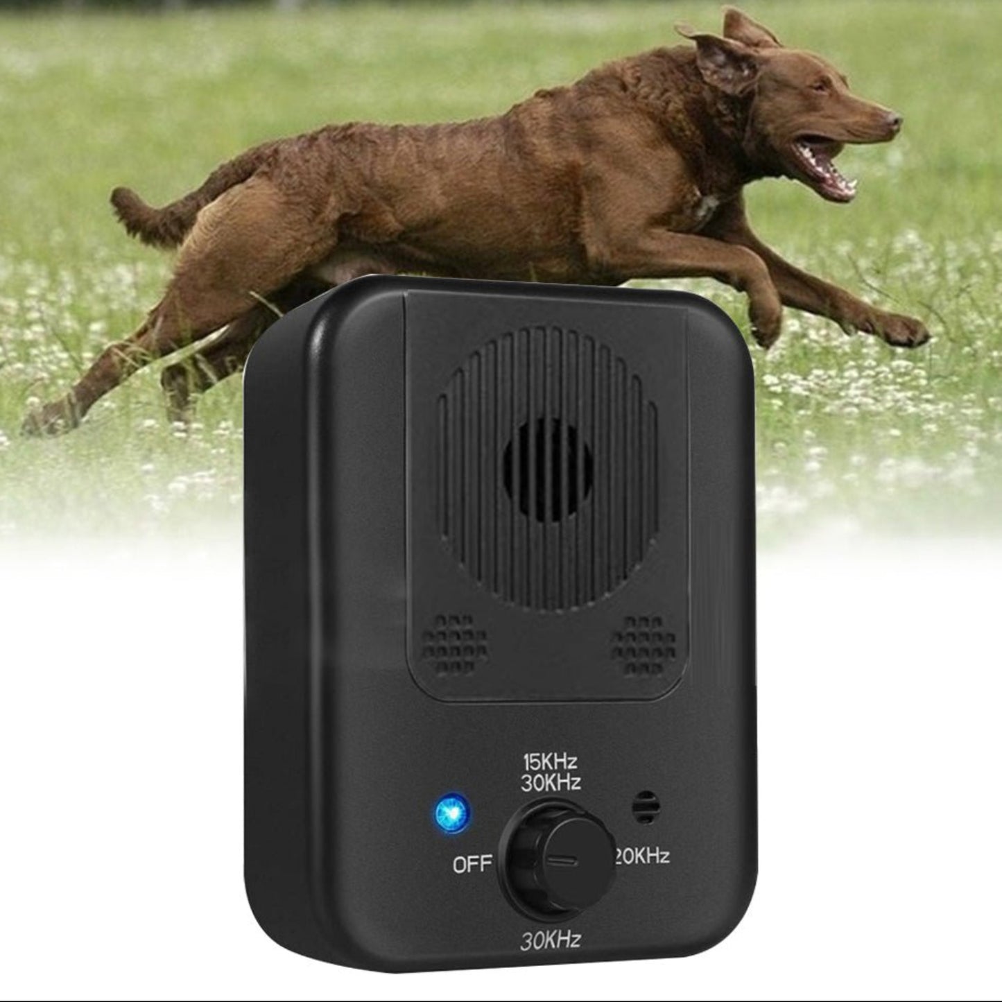 High Quality Waterproof Training Dog Silencer Anti Bark Control Device - Best Buddy Store