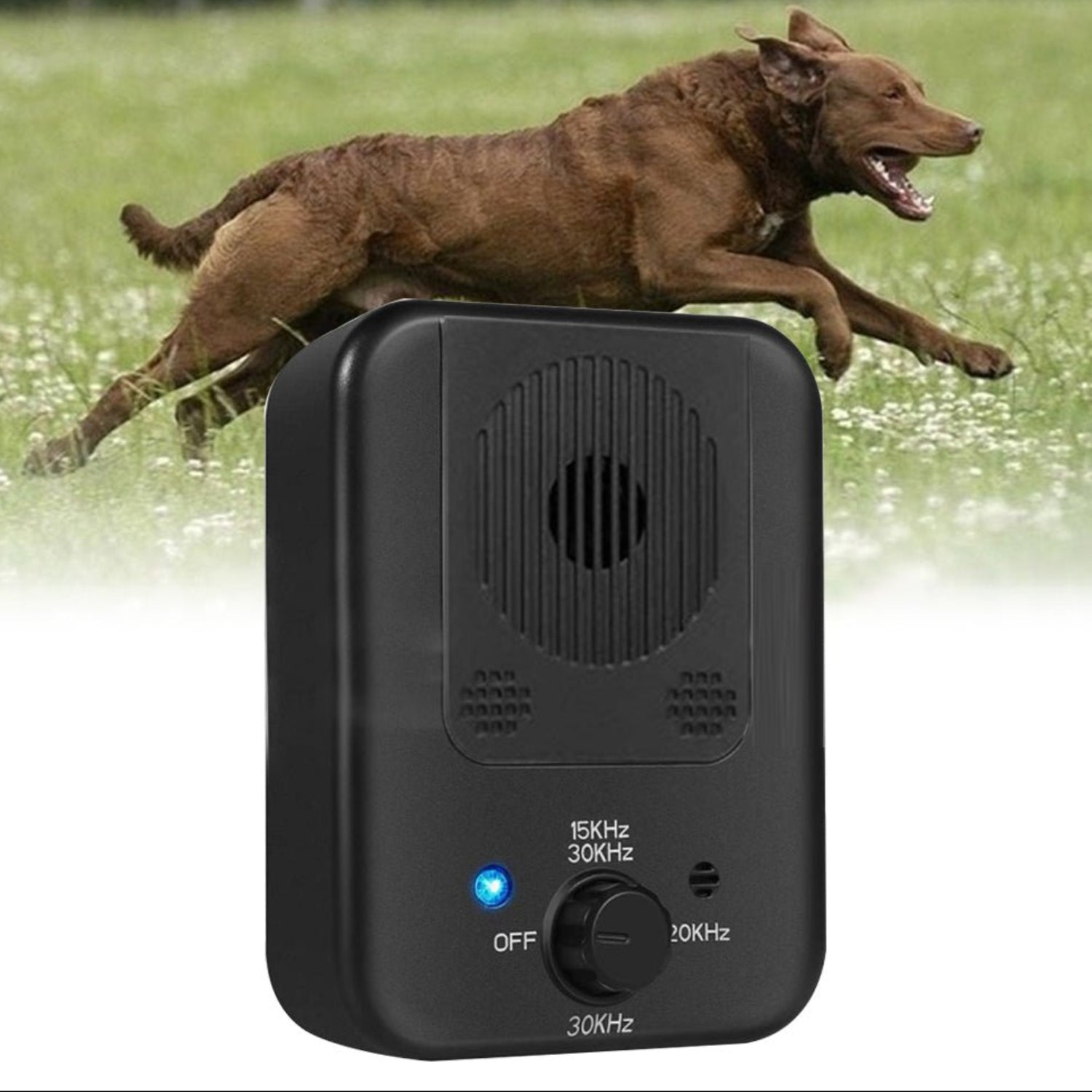 High Quality Waterproof Training Dog Silencer Anti Bark Control Device - Best Buddy Store