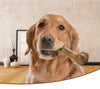 Indestructible Dog Bone Natural Non - Toxic Puppy Toy - Best Buddy Store