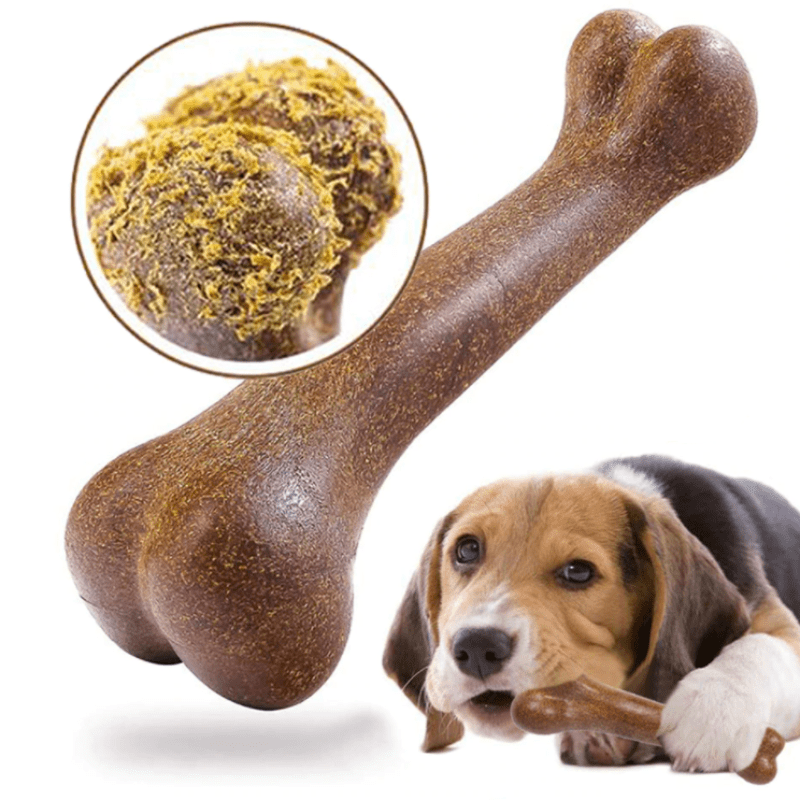 Indestructible Dog Bone Natural Non - Toxic Puppy Toy - Best Buddy Store