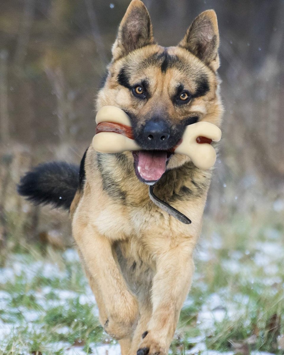 Indestructible Dog Chew Toy for Aggressive Chewers, Real Beef Flavor - Best Buddy Store