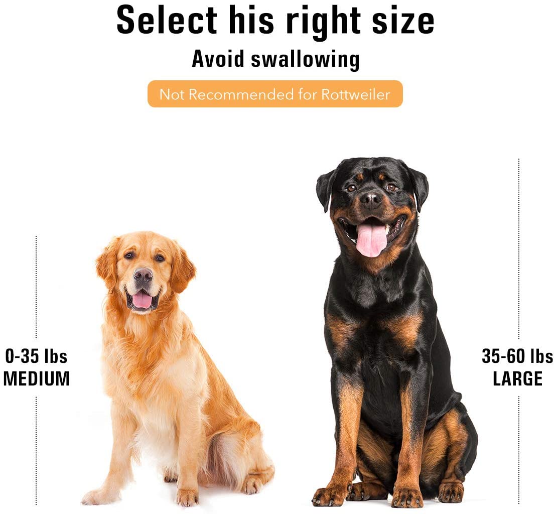 Indestructible Dog Chew Toy for Aggressive Chewers, Real Beef Flavor - Best Buddy Store