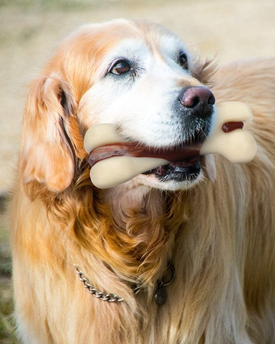 Indestructible Dog Chew Toy for Aggressive Chewers, Real Beef Flavor - Best Buddy Store