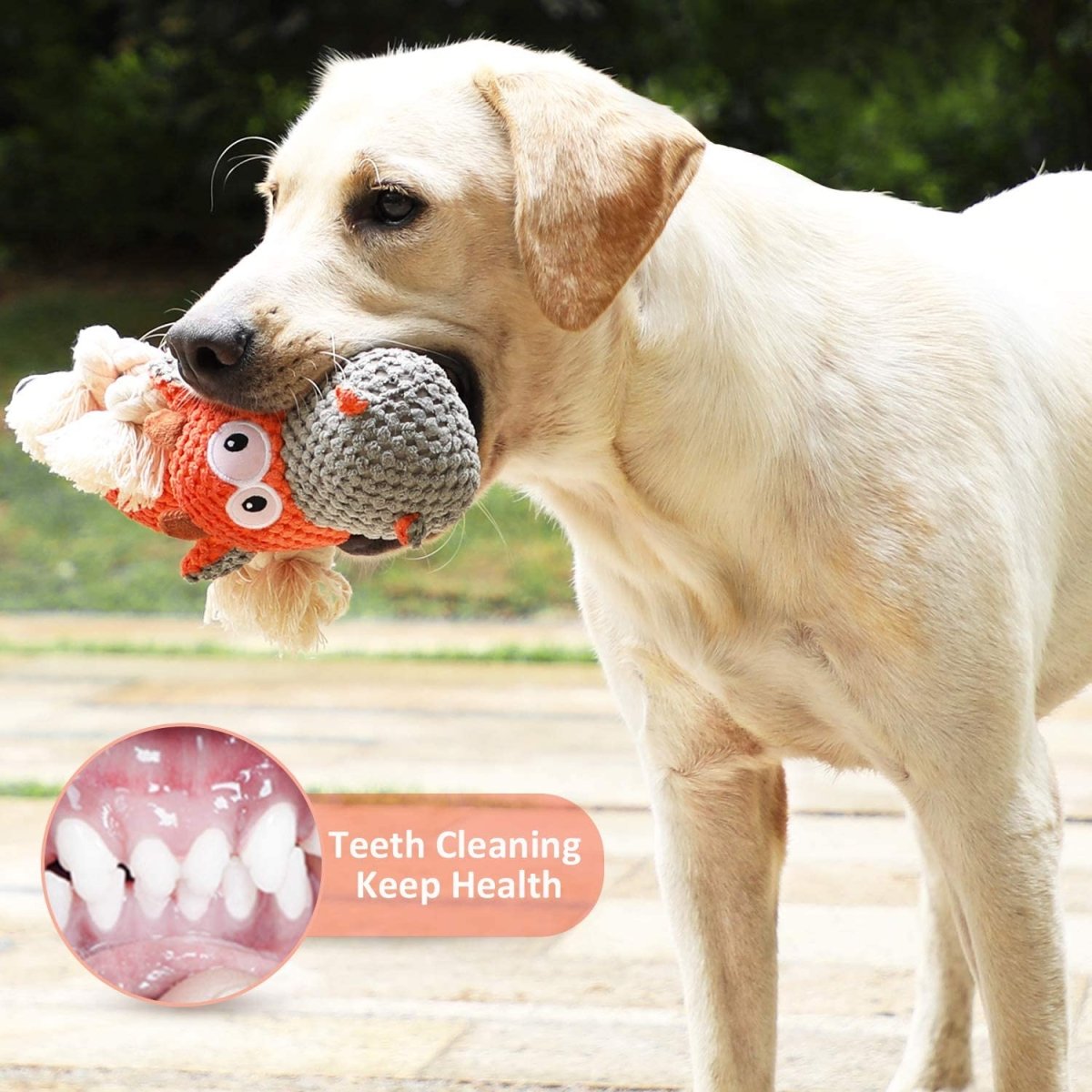 Indestructible Dog Squeaky Plush Toy for Large Aggressive Chewers - Best Buddy Store