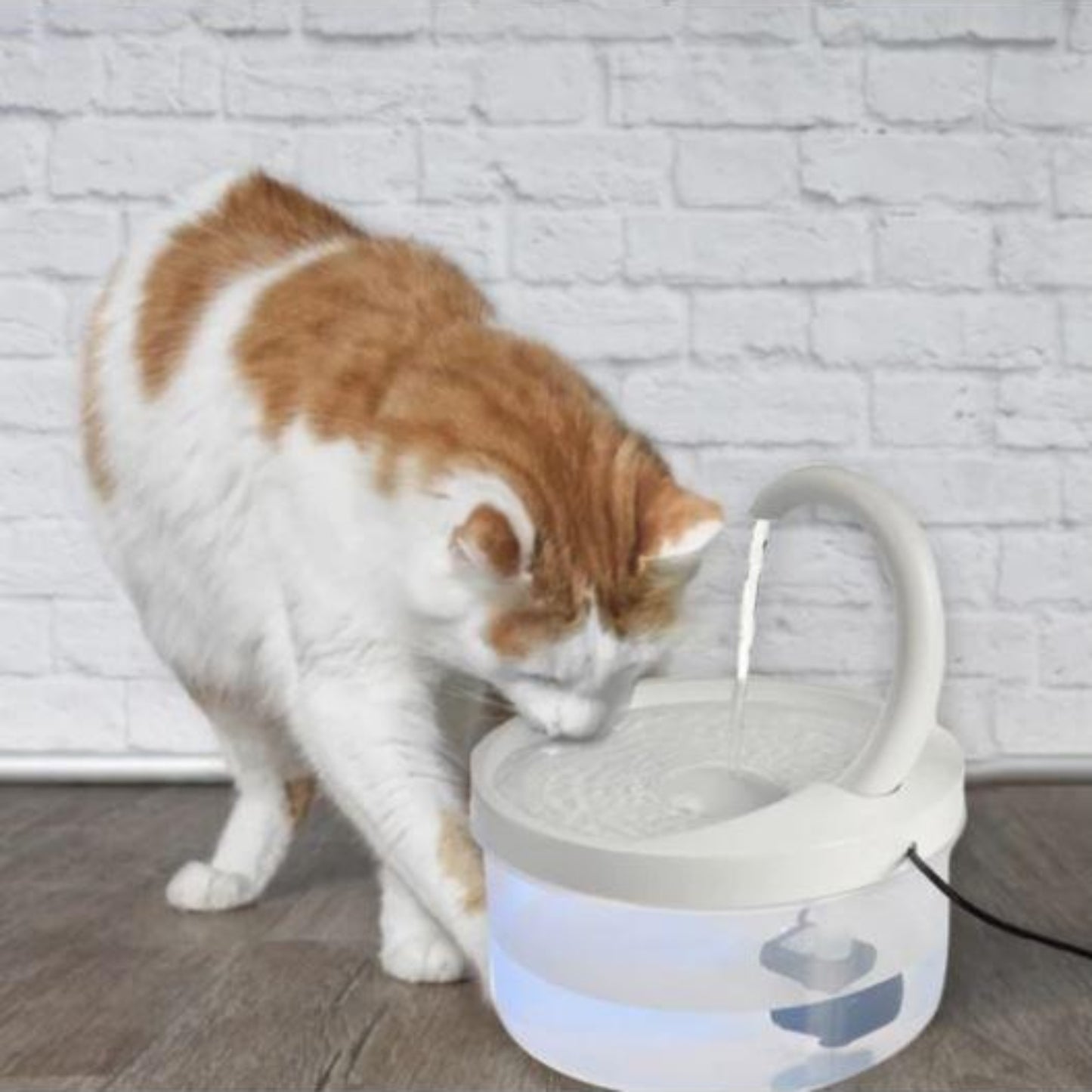 Intelligent Cat Drinking Water Fountain Automatic Circulating Water Dispenser - Best Buddy Store