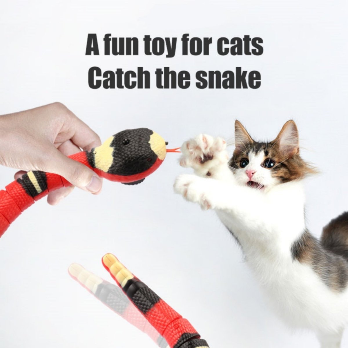 Interactive Cat Electric Snake Toy - Best Buddy Store