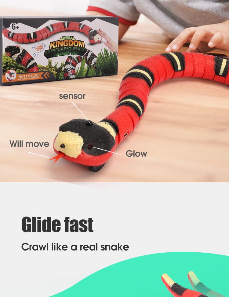 Interactive Cat Electric Snake Toy - Best Buddy Store