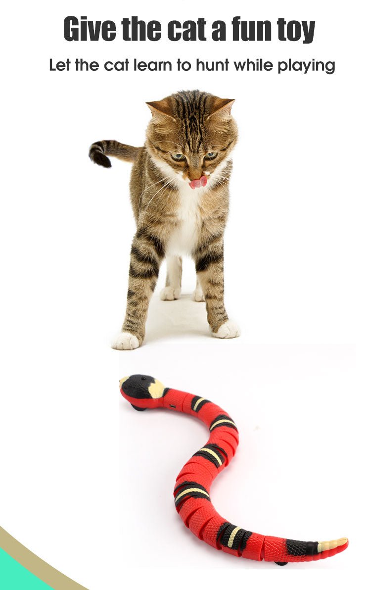 Interactive Cat Electric Snake Toy - Best Buddy Store