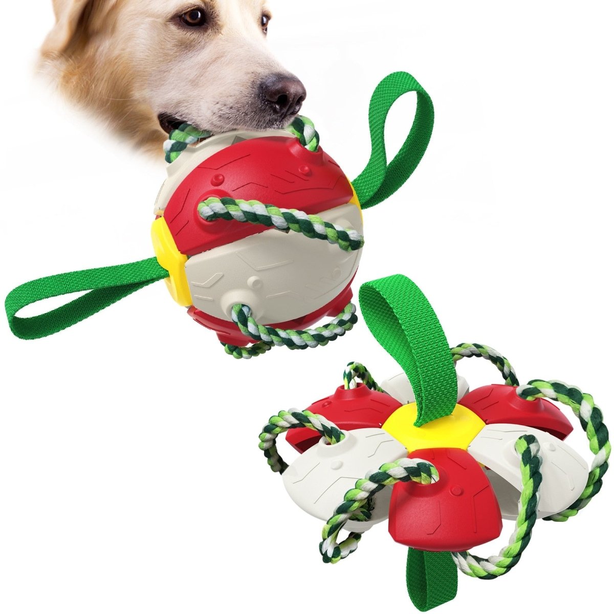 Interactive Dog Soccer Ball Toy with Durable Grab Tabs - Best Buddy Store