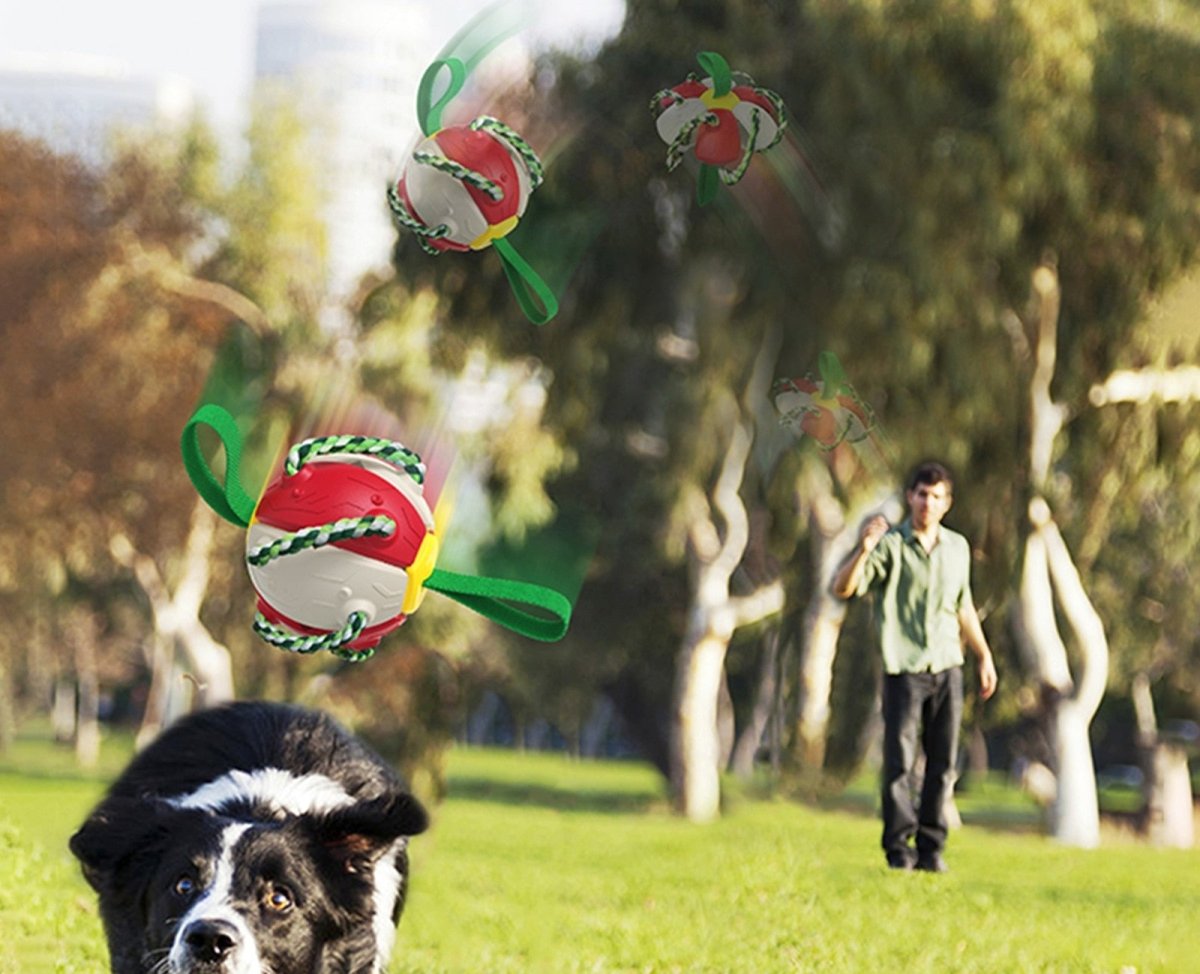 Interactive Dog Soccer Ball Toy with Durable Grab Tabs - Best Buddy Store