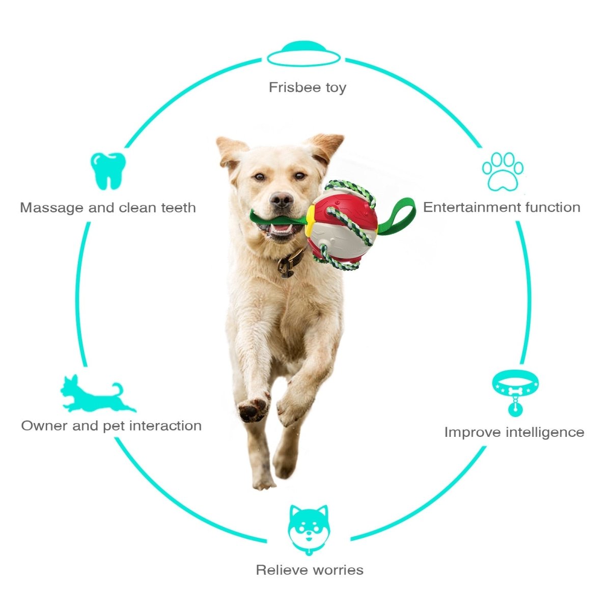Interactive Dog Soccer Ball Toy with Durable Grab Tabs - Best Buddy Store