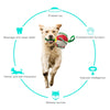 Interactive Dog Soccer Ball Toy with Durable Grab Tabs - Best Buddy Store