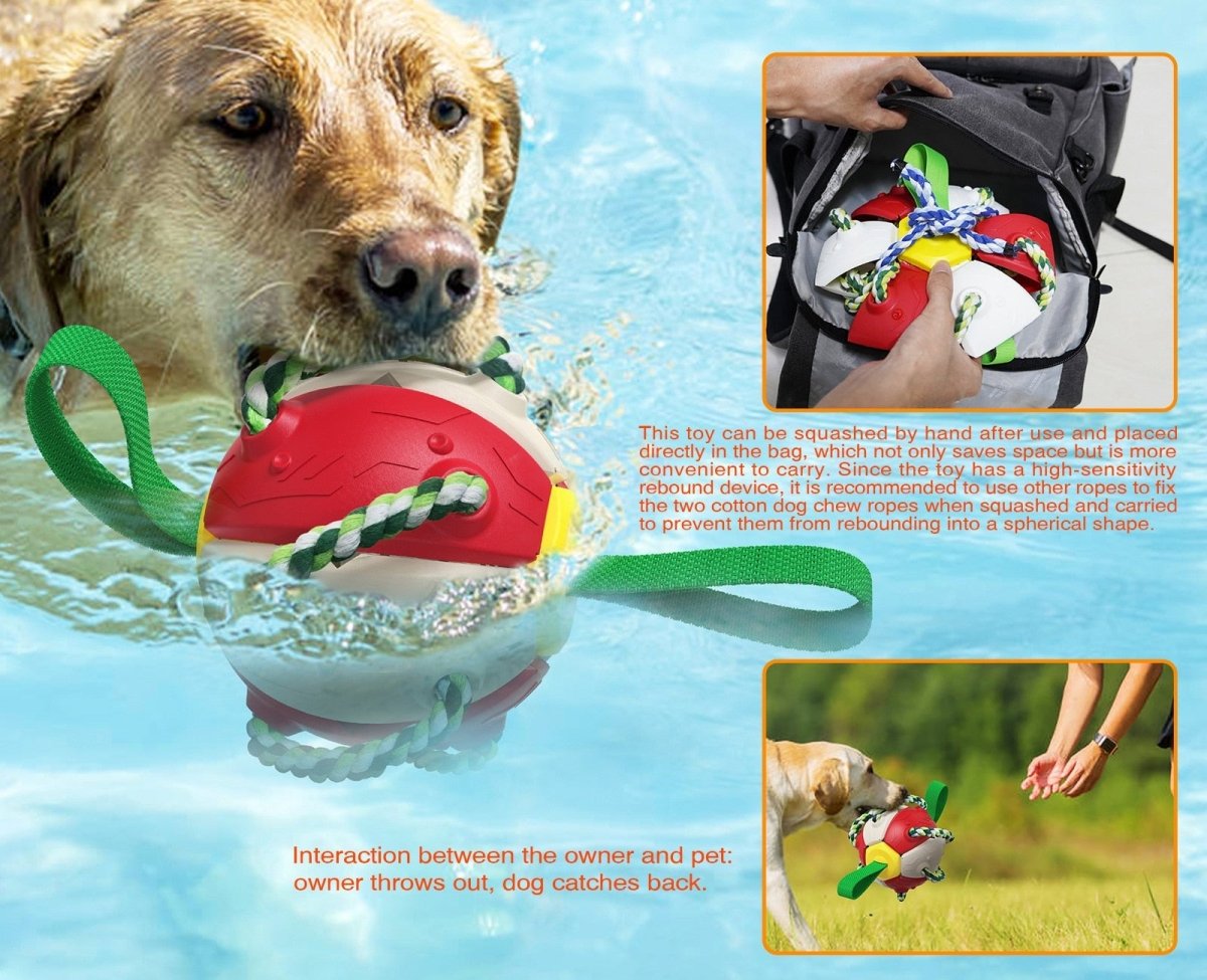 Interactive Dog Soccer Ball Toy with Durable Grab Tabs - Best Buddy Store