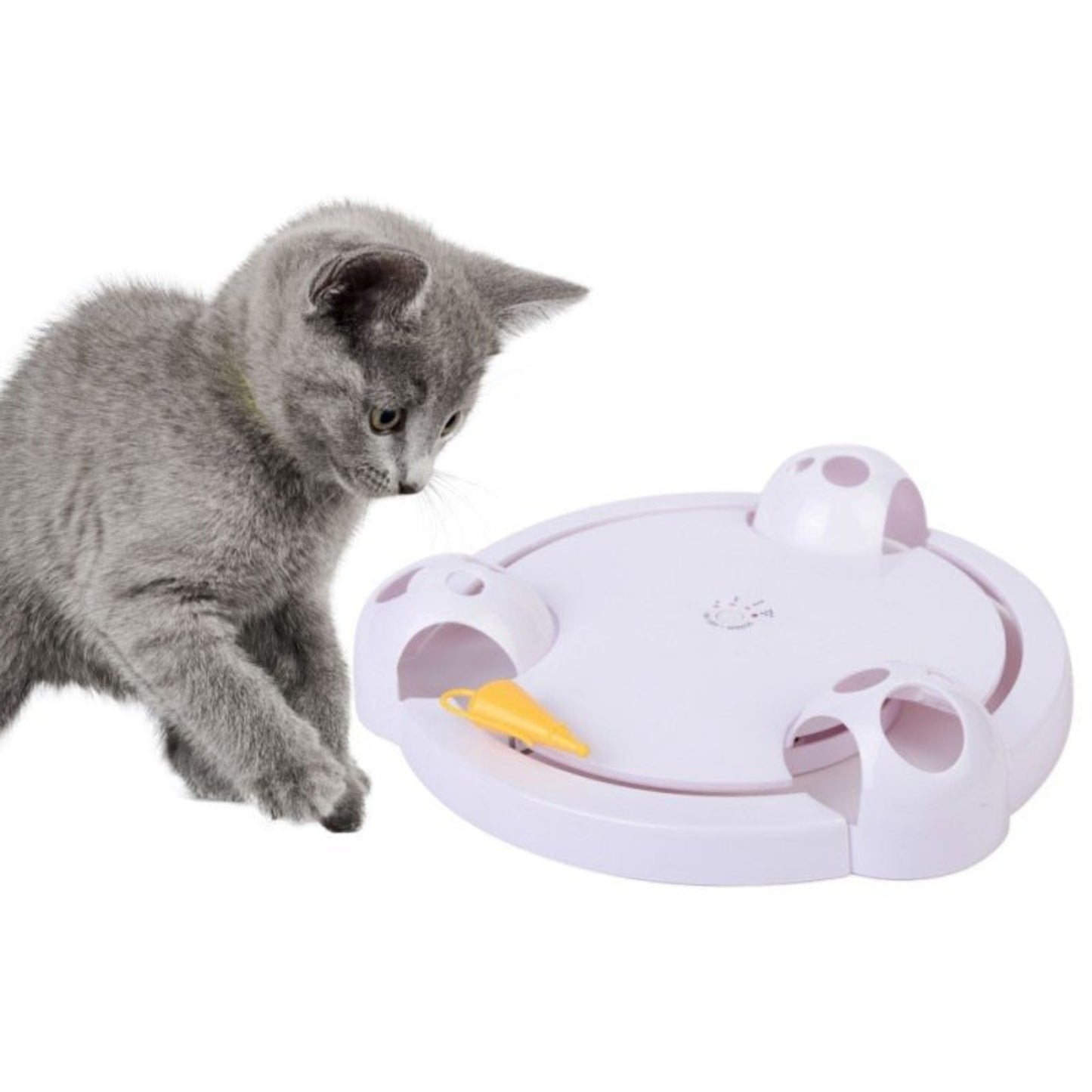 Interactive Funny Mice Catch Rotating Automatic Cat Toy Play Teaser Plate - Best Buddy Store