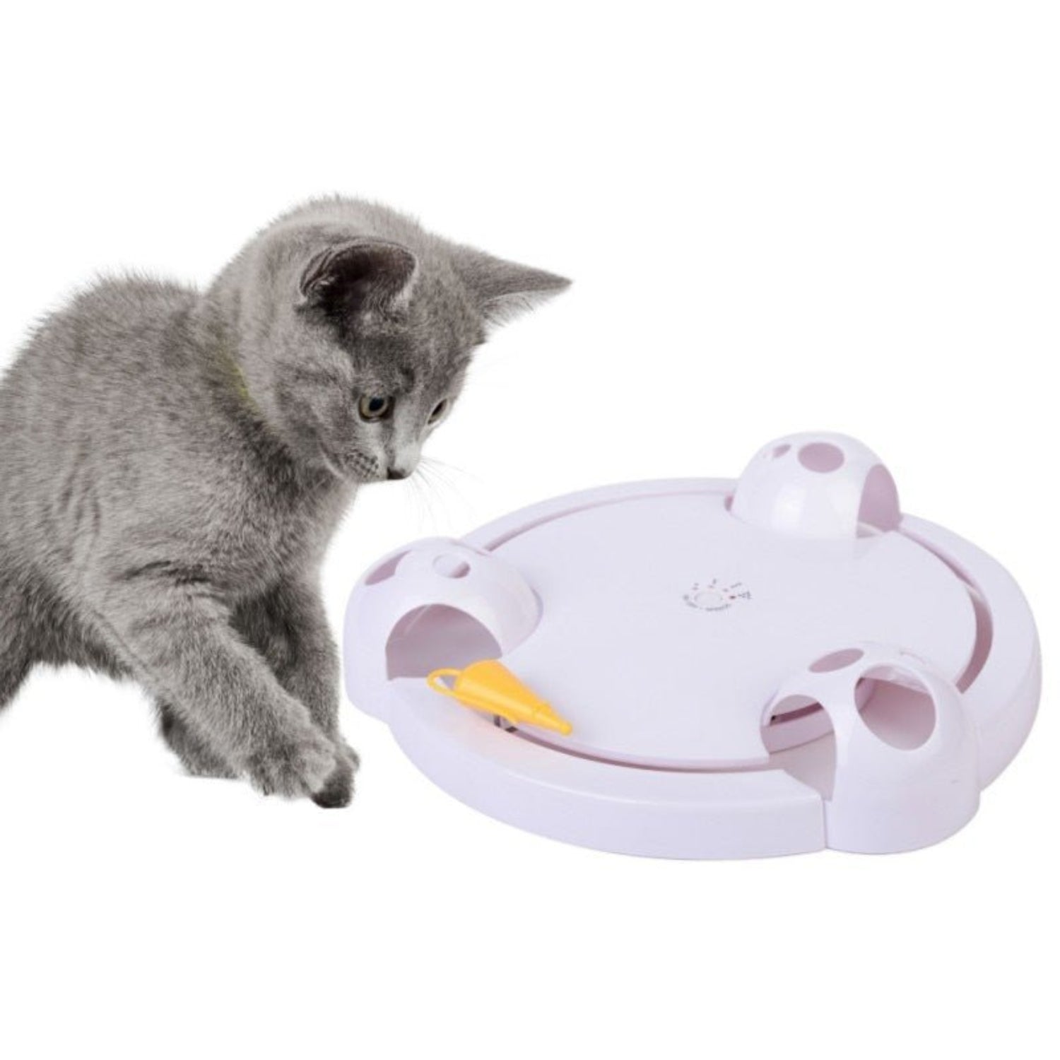Interactive Funny Mice Catch Rotating Automatic Cat Toy Play Teaser Plate - Best Buddy Store