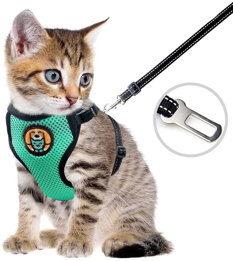 Kitten Adjustable Harness and Leash for Cat Walking Jacket - Best Buddy Store