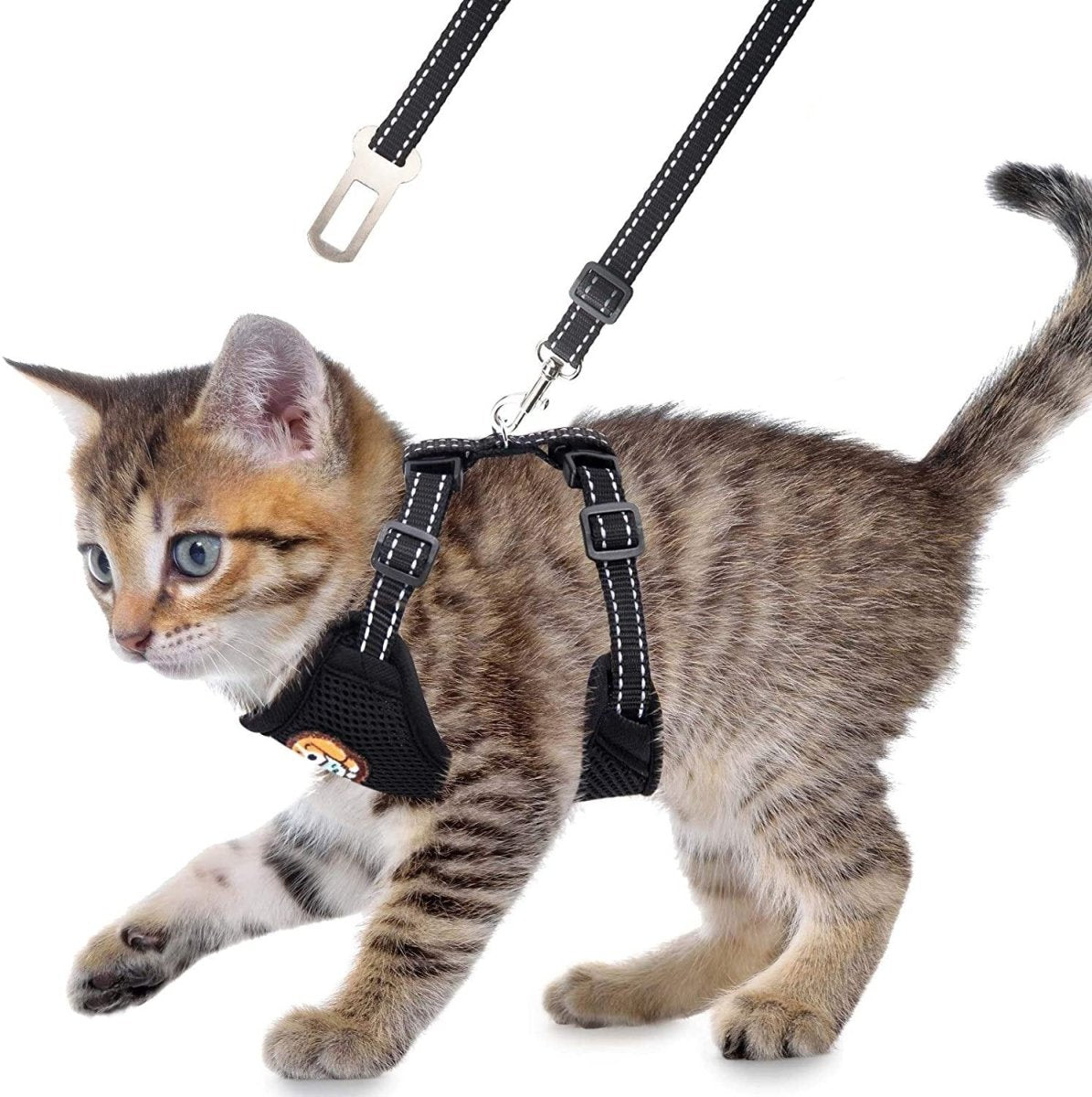 Kitten Adjustable Harness and Leash for Cat Walking Jacket - Best Buddy Store