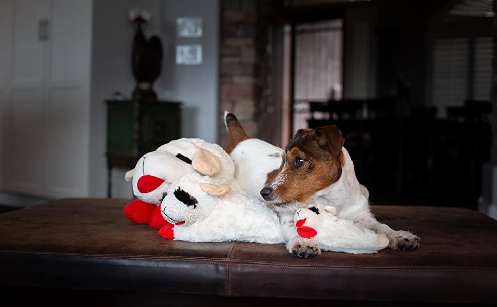 Lambchop Plush Dog Toy with Squeaker - Best Buddy Store