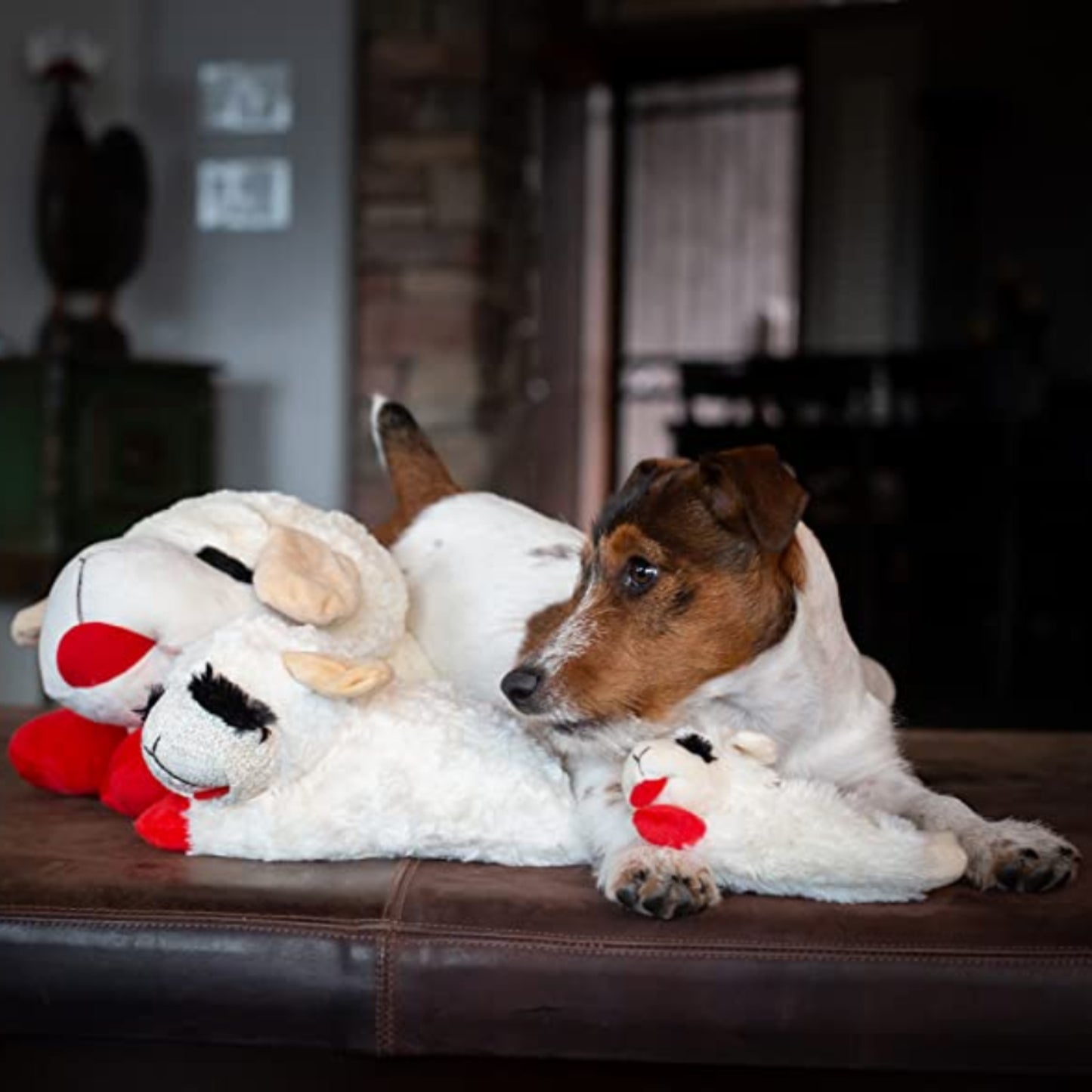 Lambchop Plush Dog Toy with Squeaker - Best Buddy Store