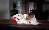 Lambchop Plush Dog Toy with Squeaker - Best Buddy Store