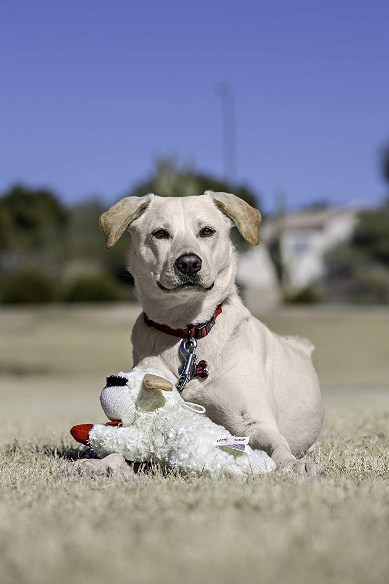 Lambchop Plush Dog Toy with Squeaker - Best Buddy Store