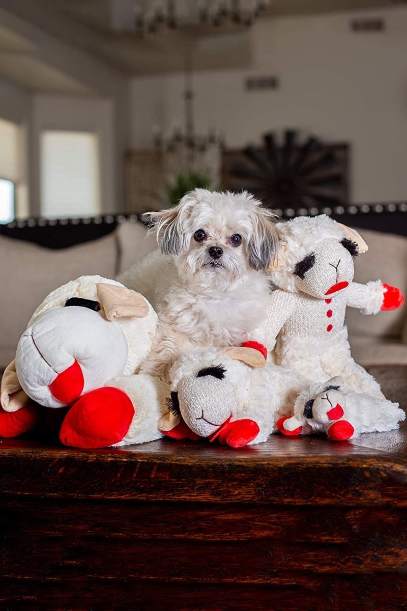 Lambchop Plush Dog Toy with Squeaker - Best Buddy Store
