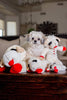 Lambchop Plush Dog Toy with Squeaker - Best Buddy Store