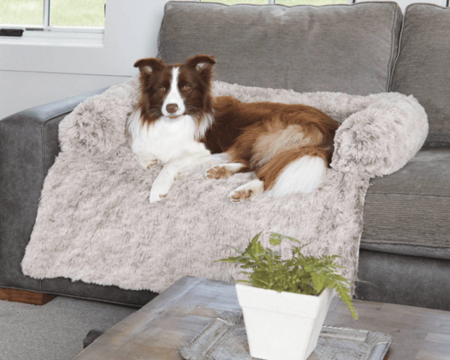 Large Dog Bed Cover Protector Warm Calming Plush - Best Buddy Store