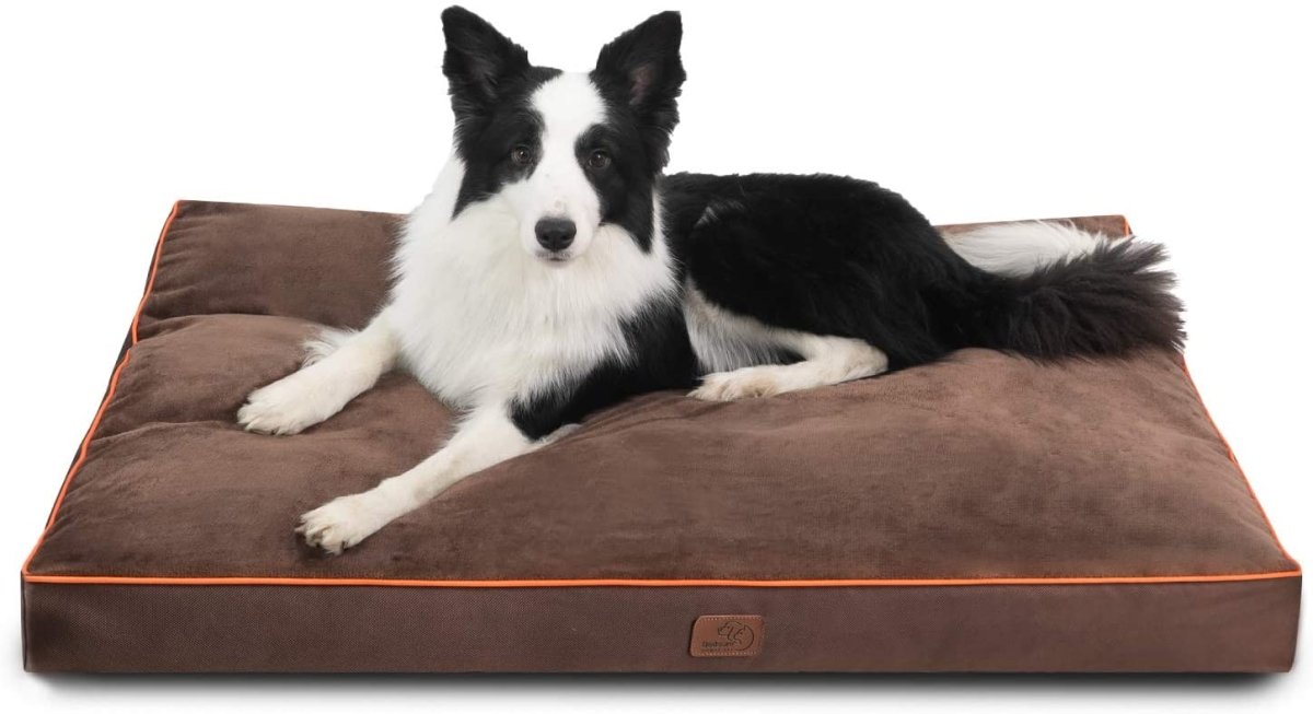 Large Dog Waterproof Bed with Washable Cover - Best Buddy Store