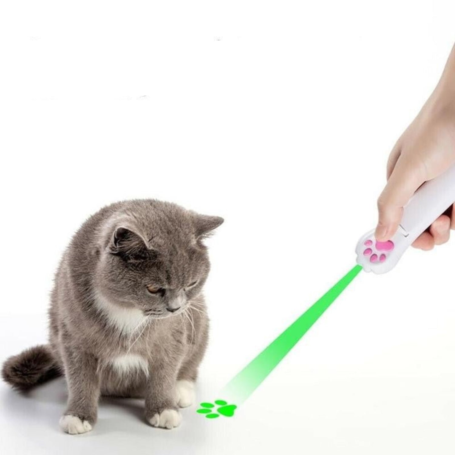 Laser Cat Teaser Interactive Toy - Best Buddy Store