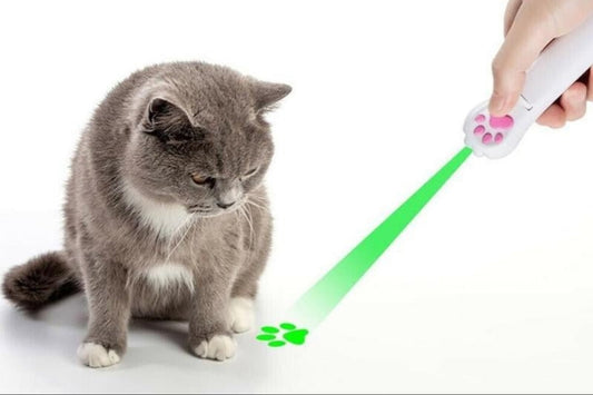 Laser Cat Teaser Interactive Toy - Best Buddy Store