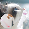 Laser Cat Teaser Interactive Toy - Best Buddy Store