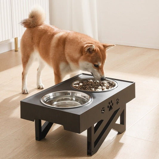 Lift Pet Bowls Dog Food Feeder Stainless Steel Drinking Dish Feeder Puppy Feeding - Best Buddy Store