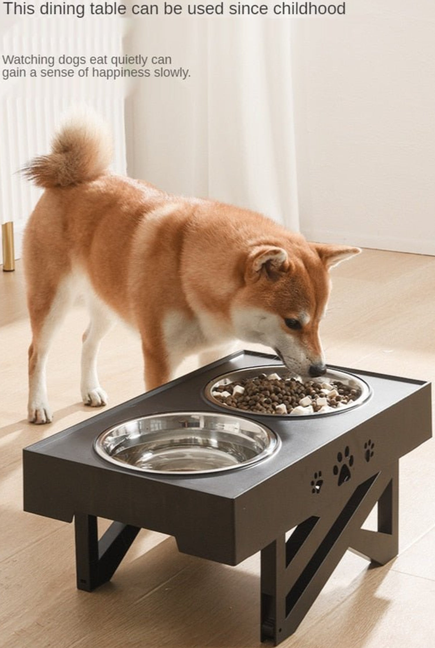 Lift Pet Bowls Dog Food Feeder Stainless Steel Drinking Dish Feeder Puppy Feeding - Best Buddy Store