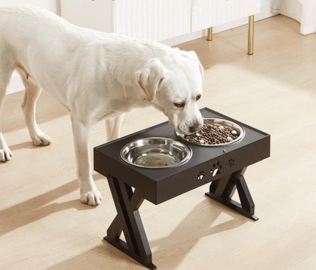 Lift Pet Bowls Dog Food Feeder Stainless Steel Drinking Dish Feeder Puppy Feeding - Best Buddy Store