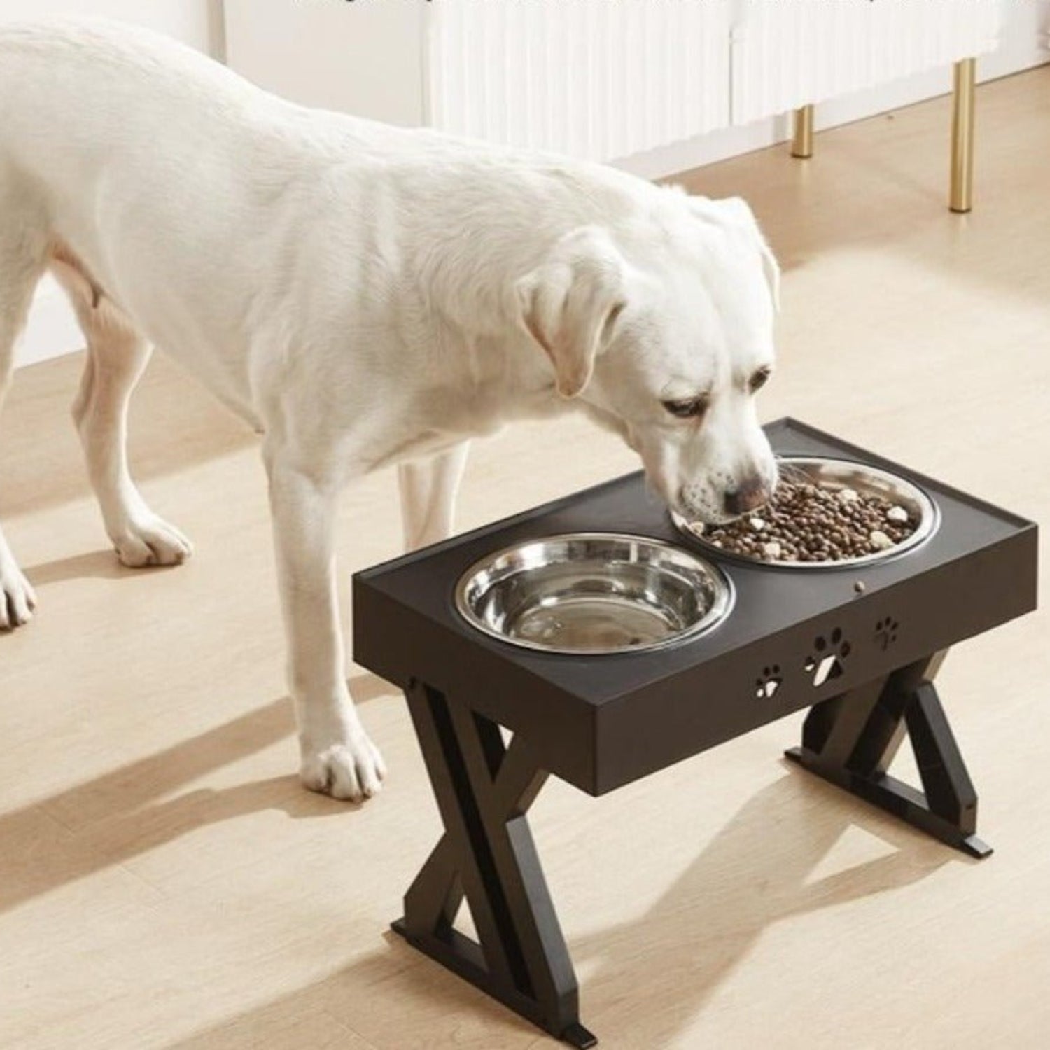 Lift Pet Bowls Dog Food Feeder Stainless Steel Drinking Dish Feeder Puppy Feeding - Best Buddy Store