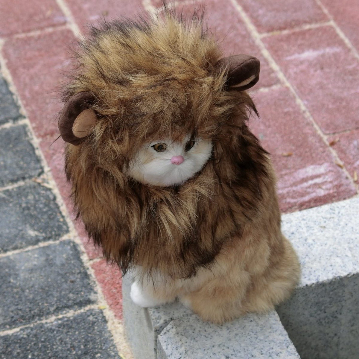 Lion Mane Costume for Cat - Best Buddy Store