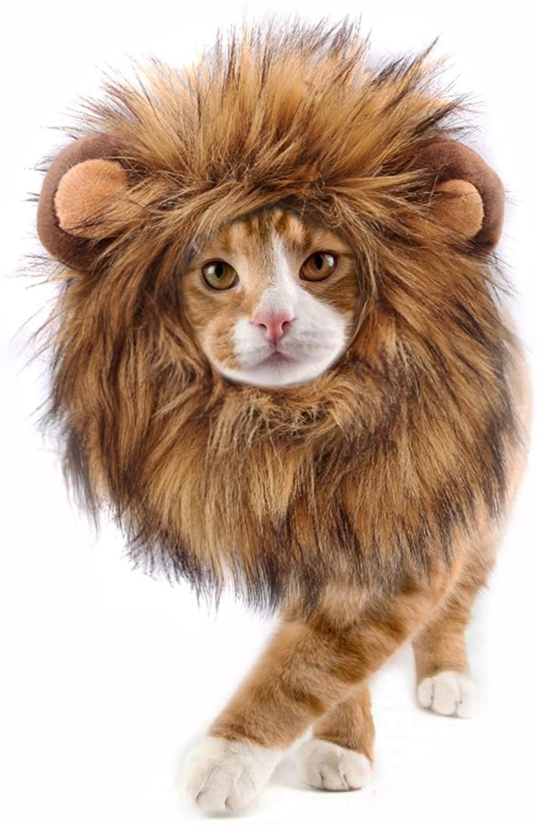Lion Mane Costume for Cat - Best Buddy Store