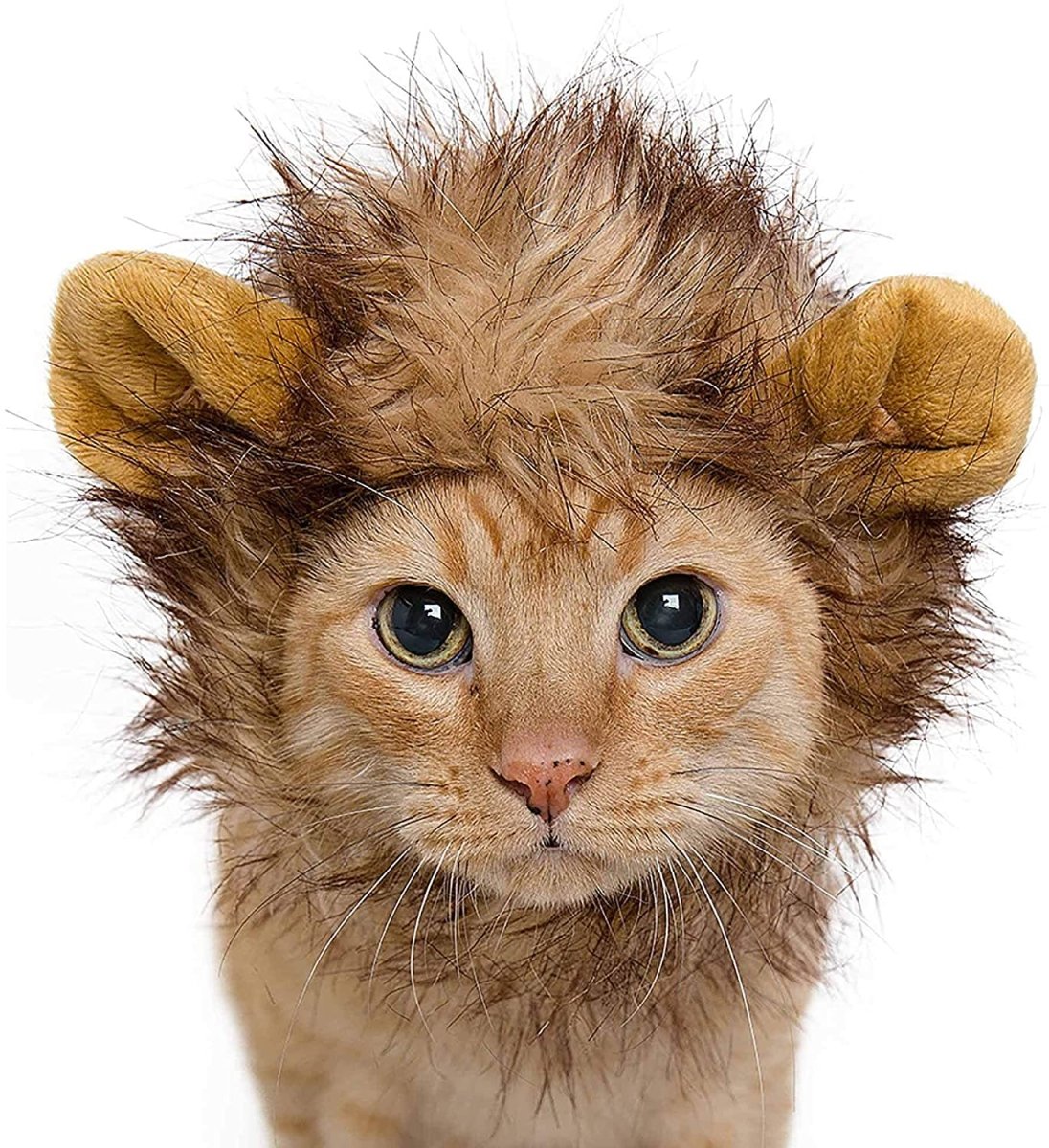 Lion Mane Costume for Cat - Best Buddy Store