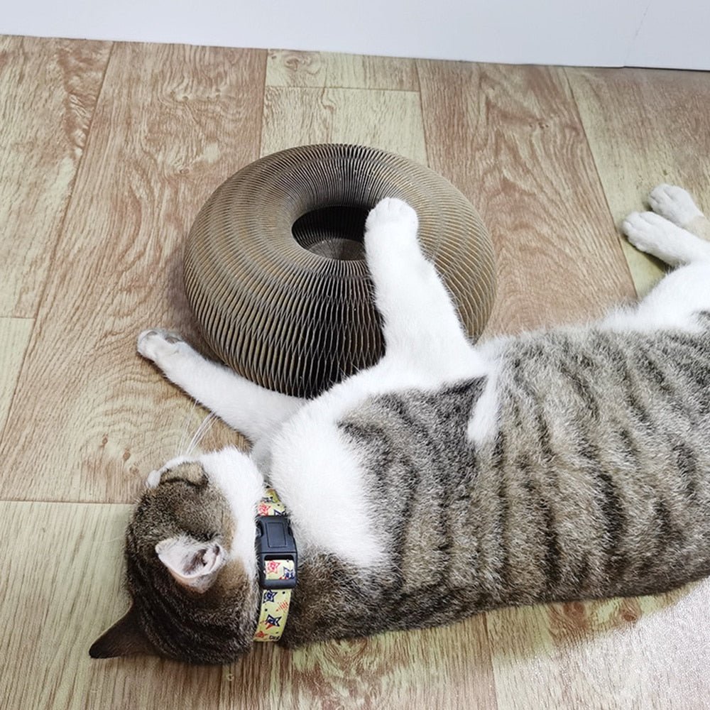 Magic Organ Cat Scratching Board - Best Buddy Store