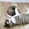 Magic Organ Cat Scratching Board - Best Buddy Store