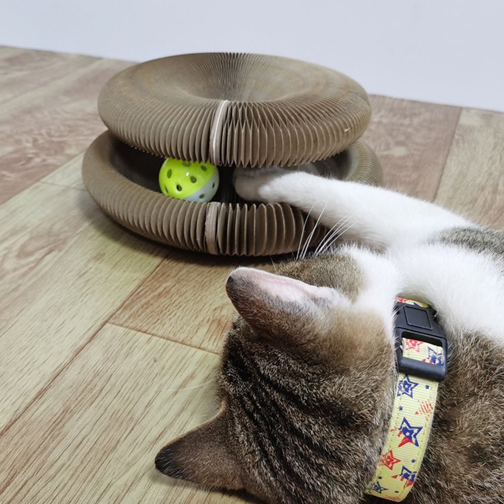 Magic Organ Cat Scratching Board - Best Buddy Store