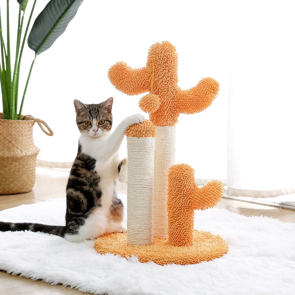 Modern Cat Tree Cactus Tower Scratching Posts For Large Cats - Best Buddy Store