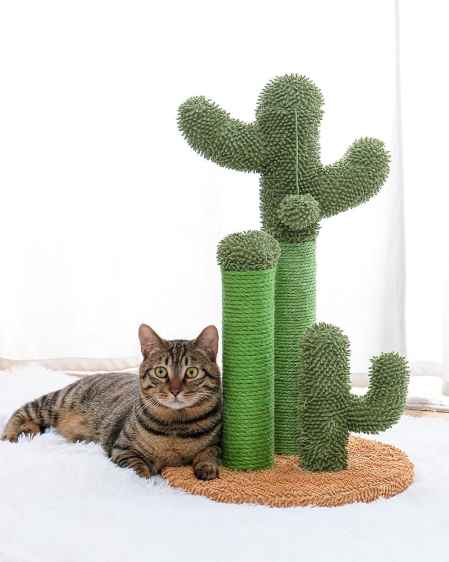 Modern Cat Tree Cactus Tower Scratching Posts For Large Cats - Best Buddy Store